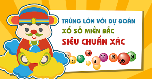 soi lo cau vip